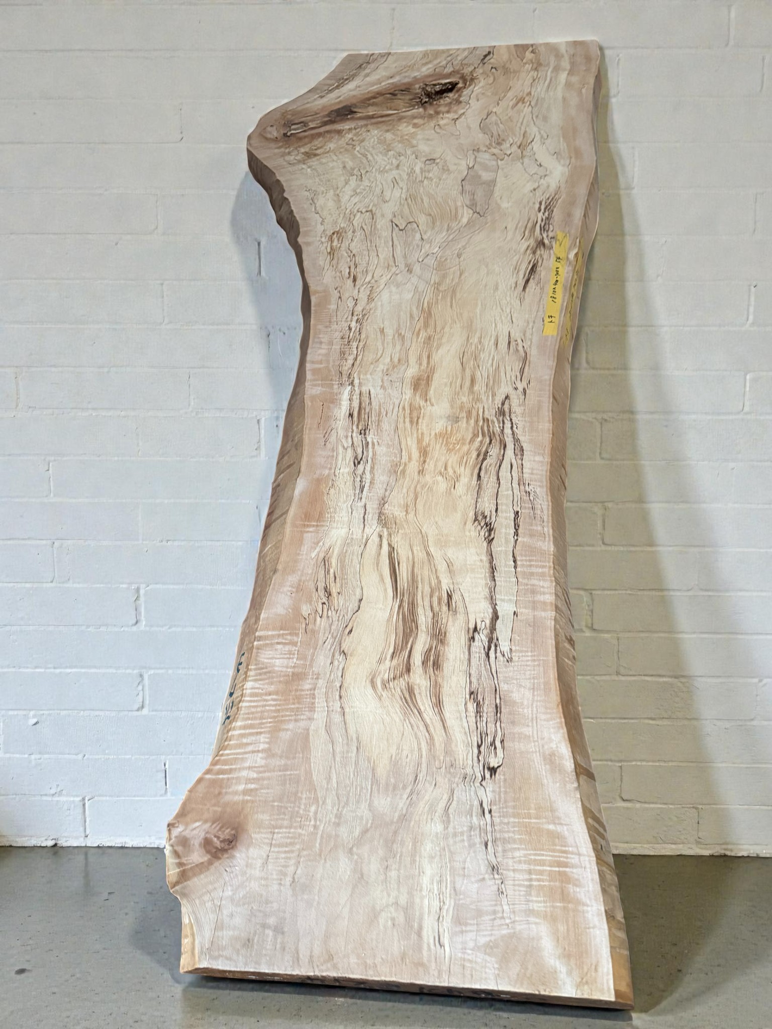 栃（スポルテッド） 一枚板