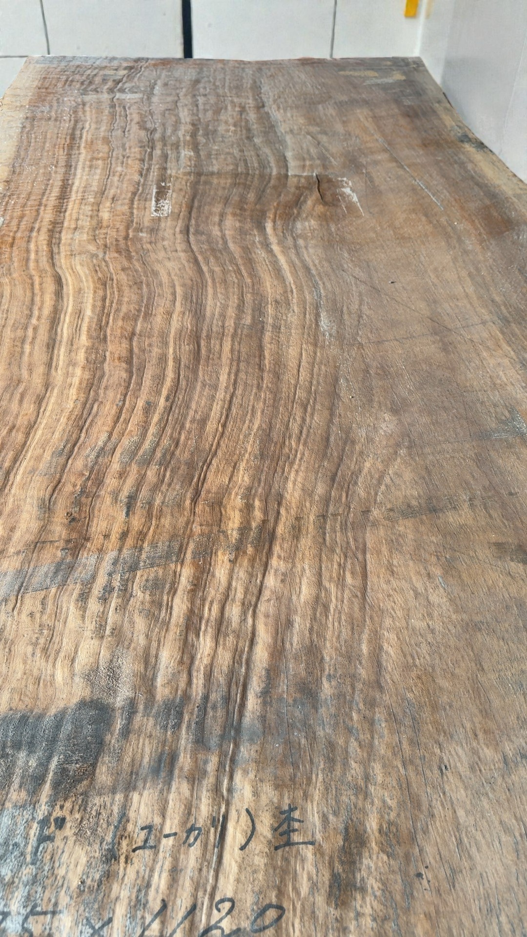 ユーカリ一枚板 詳細4